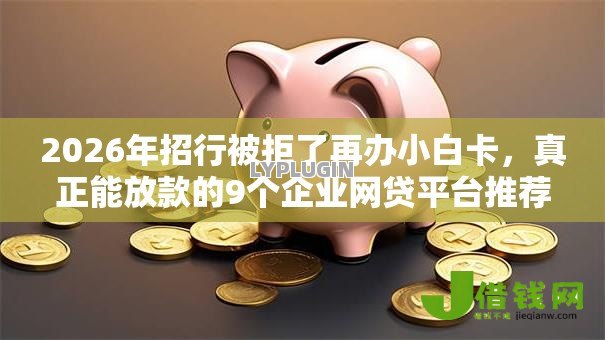 2026年招行被拒了再办小白卡,真正能放款的9个企业网贷平台推荐 2026年招行被拒了再办小白卡,真正能放款的9个企业网贷平台推荐