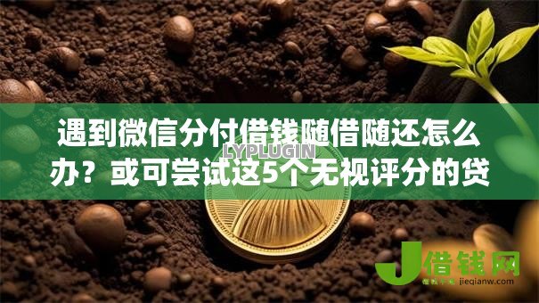 遇到微信分付借钱随借随还怎么办？或可尝试这5个无视评分的贷款app