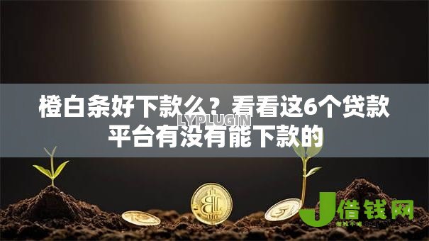 橙白条好下款么？看看这6个贷款平台有没有能下款的