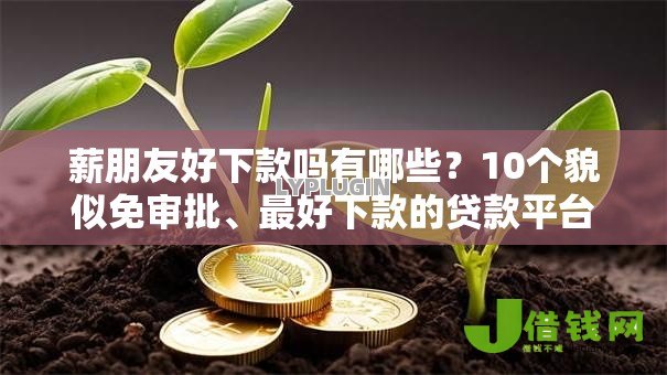 薪朋友好下款吗有哪些?10个貌似免审批、最好下款的贷款平台合集 薪朋友好下款吗有哪些?10个貌似免审批、最好下款的贷款平台合集