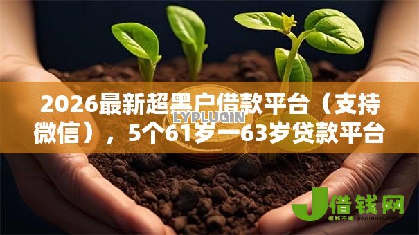 2026最新超黑户借款平台（支持微信），5个61岁一63岁贷款平台无私分享