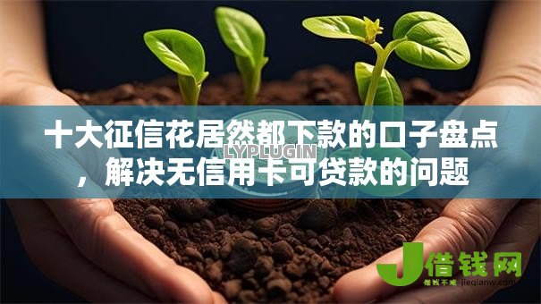 十大征信花居然都下款的口子盘点,解决无信用卡可贷款的问题 十大征信花居然都下款的口子盘点,解决无信用卡可贷款的问题