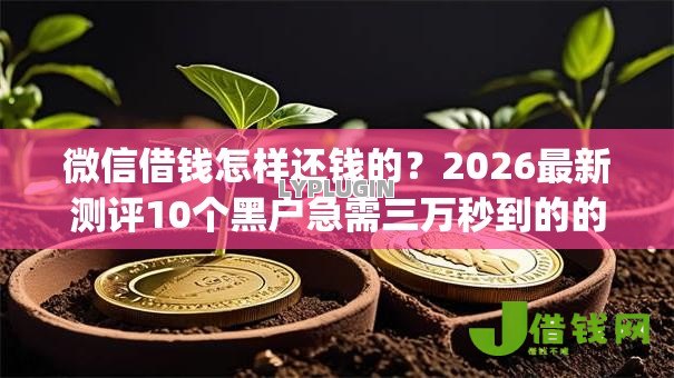 微信借钱怎样还钱的?2026最新测评10个黑户急需三万秒到的的app 微信借钱怎样还钱的?2026最新测评10个黑户急需三万秒到的的app