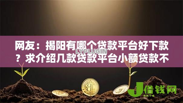 网友：揭阳有哪个贷款平台好下款？求介绍几款贷款平台小额贷款不看征信