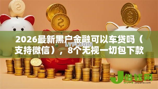2026最新黑户金融可以车贷吗（支持微信），8个无视一切包下款的口子无私分享