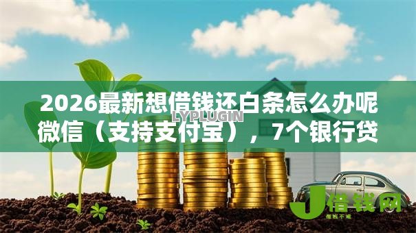 2026最新想借钱还白条怎么办呢微信（支持支付宝），7个银行贷款平台无私分享