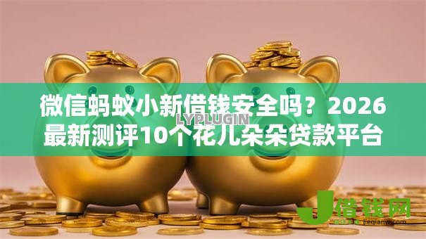 微信蚂蚁小新借钱安全吗？2026最新测评10个花儿朵朵贷款平台官网