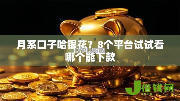 月系口子哈银花？8个平台试试看哪个能下款