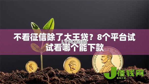 不看征信除了大王贷？8个平台试试看哪个能下款