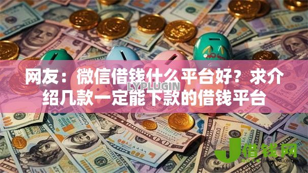 网友：微信借钱什么平台好？求介绍几款一定能下款的借钱平台