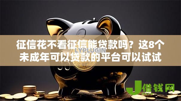 征信花不看征信能贷款吗？这8个未成年可以贷款的平台可以试试