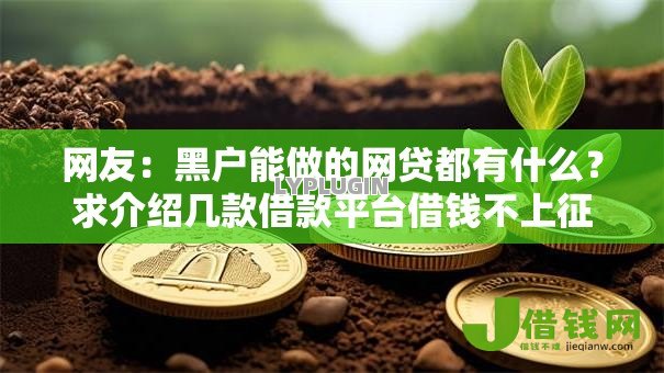 网友：黑户能做的网贷都有什么？求介绍几款借款平台借钱不上征信