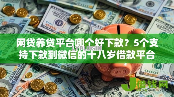 网贷养贷平台哪个好下款？5个支持下款到微信的十八岁借款平台秒过的软件