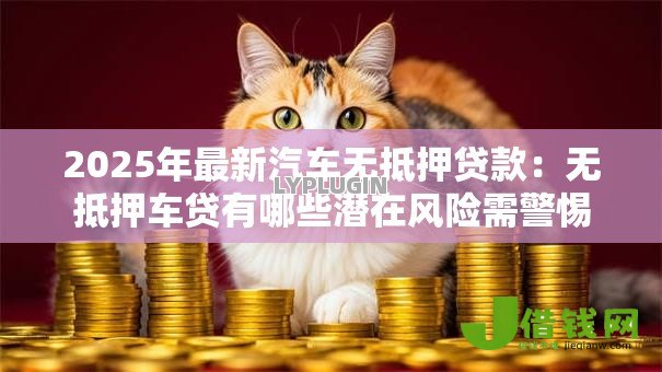 2025年最新汽车无抵押贷款：无抵押车贷有哪些潜在风险需警惕