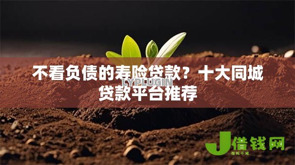 不看负债的寿险贷款？十大同城贷款平台推荐