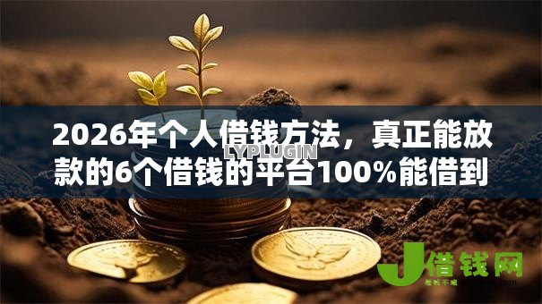 2026年个人借钱方法，真正能放款的6个借钱的平台100%能借到推荐