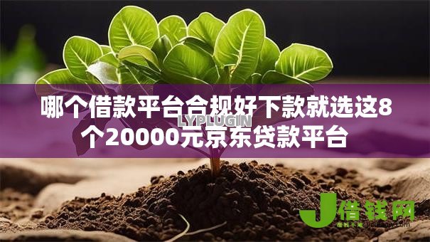 哪个借款平台合规好下款就选这8个20000元京东贷款平台 哪个借款平台合规好下款就选这8个20000元京东贷款平台