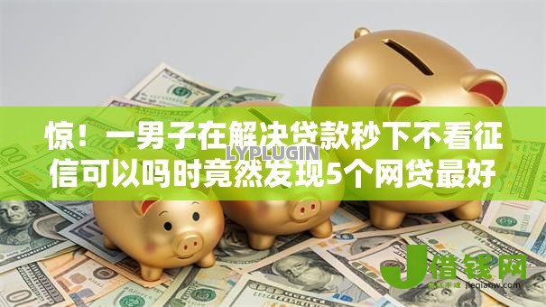 惊！一男子在解决贷款秒下不看征信可以吗时竟然发现5个网贷最好下款的平台，事后分享了出来