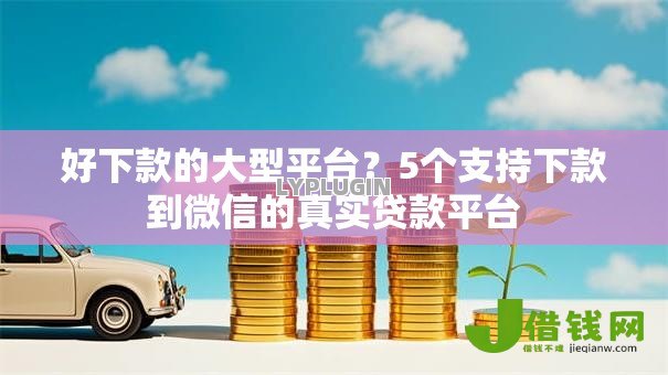 好下款的大型平台？5个支持下款到微信的真实贷款平台