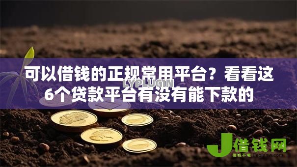 可以借钱的正规常用平台？看看这6个贷款平台有没有能下款的
