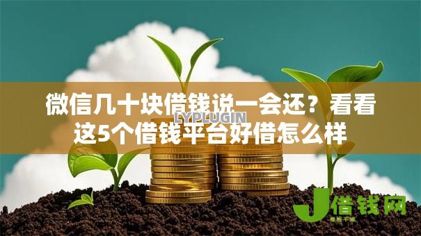 微信几十块借钱说一会还?看看这5个借钱平台好借怎么样 微信几十块借钱说一会还?看看这5个借钱平台好借怎么样