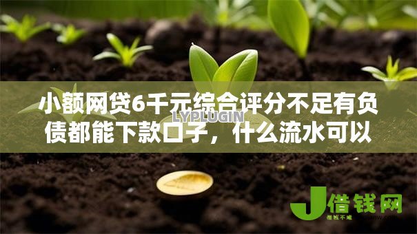 小额网贷6千元综合评分不足有负债都能下款口子,什么流水可以贷款的6个平台介绍 小额网贷6千元综合评分不足有负债都能下款口子,什么流水可以贷款的6个平台介绍
