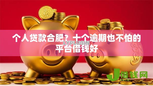 个人贷款合肥？十个逾期也不怕的平台借钱好