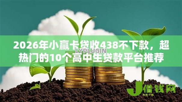 2026年小赢卡贷收438不下款，超热门的10个高中生贷款平台推荐