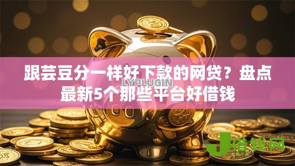 跟芸豆分一样好下款的网贷？盘点最新5个那些平台好借钱