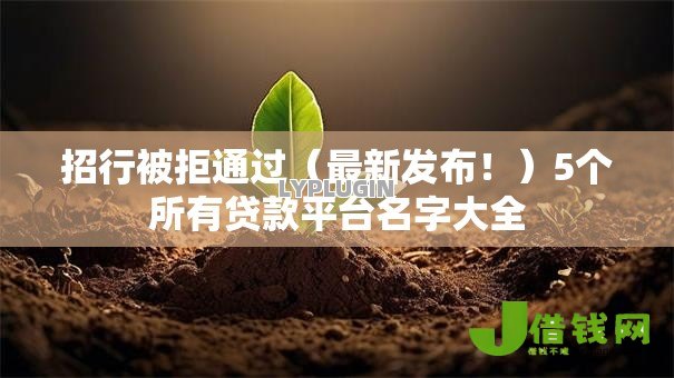 招行被拒通过（最新发布！）5个所有贷款平台名字大全