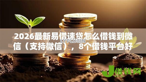 2026最新易借速贷怎么借钱到微信(支持微信),8个借钱平台好通过无私分享 2026最新易借速贷怎么借钱到微信(支持微信),8个借钱平台好通过无私分享