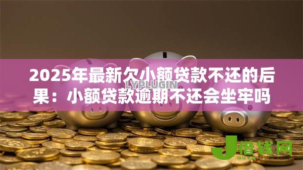 2025年最新欠小额贷款不还的后果：小额贷款逾期不还会坐牢吗