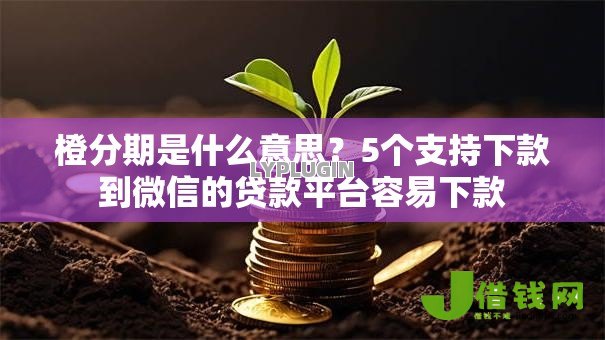 橙分期是什么意思？5个支持下款到微信的贷款平台容易下款