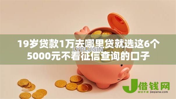 19岁贷款1万去哪里贷就选这6个5000元不看征信查询的口子