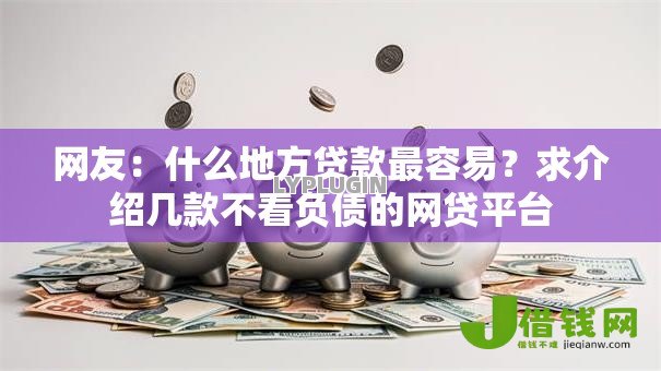 网友：什么地方贷款最容易？求介绍几款不看负债的网贷平台
