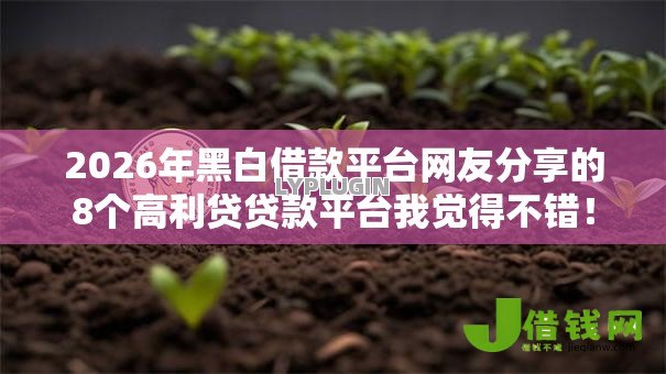 2026年黑白借款平台网友分享的8个高利贷贷款平台我觉得不错！