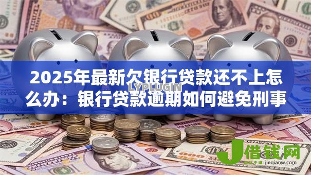 2025年最新欠银行贷款还不上怎么办：银行贷款逾期如何避免刑事责任