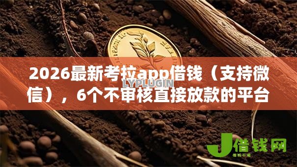 2026最新考拉app借钱（支持微信），6个不审核直接放款的平台无私分享