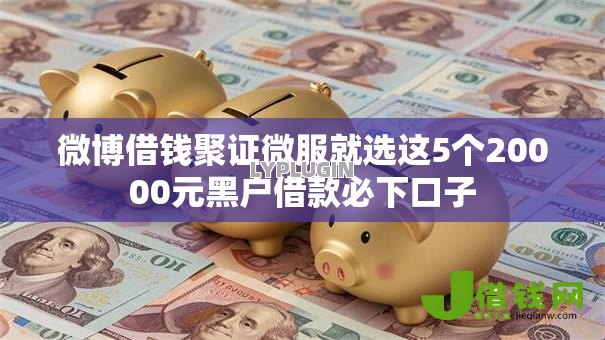 微博借钱聚证微服就选这5个20000元黑户借款必下口子