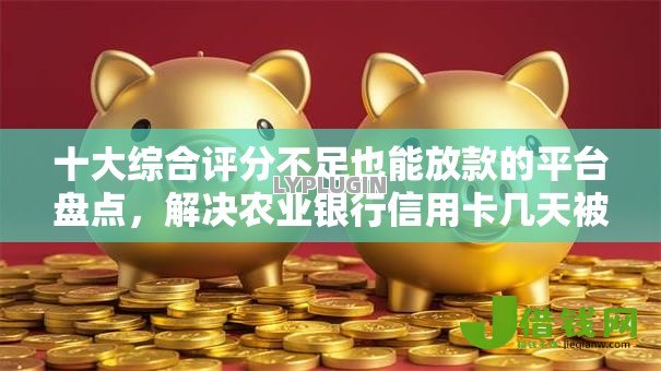 十大综合评分不足也能放款的平台盘点，解决农业银行信用卡几天被拒的问题