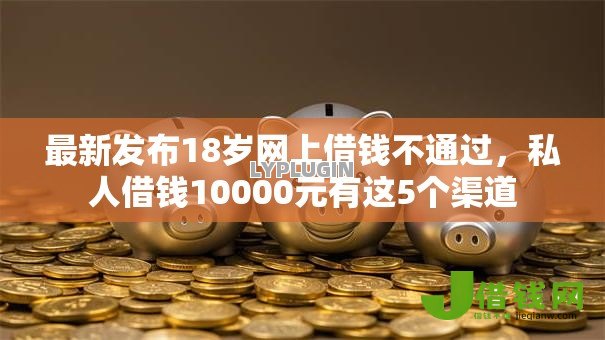 最新发布18岁网上借钱不通过，私人借钱10000元有这5个渠道