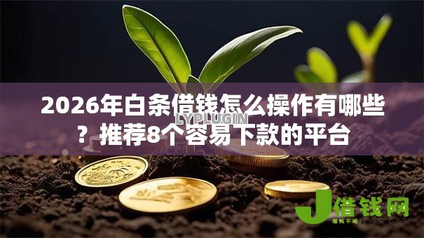 2026年白条借钱怎么操作有哪些？推荐8个容易下款的平台