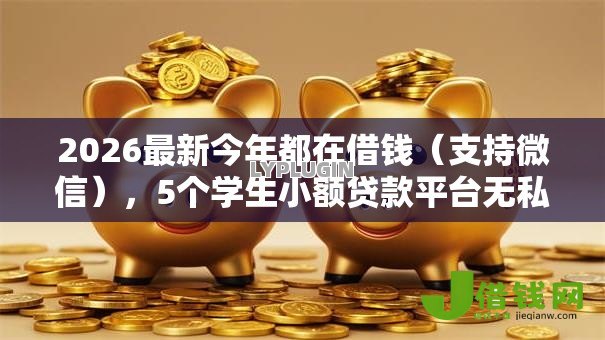 2026最新今年都在借钱(支持微信),5个学生小额贷款平台无私分享 2026最新今年都在借钱(支持微信),5个学生小额贷款平台无私分享