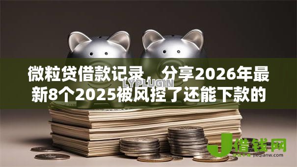 微粒贷借款记录,分享2026年最新8个2025被风控了还能下款的平台 微粒贷借款记录,分享2026年最新8个2025被风控了还能下款的平台