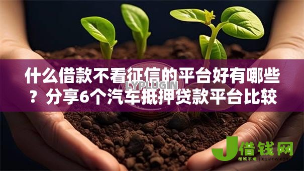 什么借款不看征信的平台好有哪些？分享6个汽车抵押贷款平台比较好
