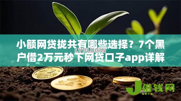 小额网贷拢共有哪些选择?7个黑户借2万元秒下网贷口子app详解 小额网贷拢共有哪些选择?7个黑户借2万元秒下网贷口子app详解