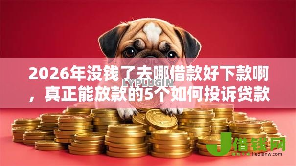 2026年没钱了去哪借款好下款啊,真正能放款的5个如何投诉贷款平台推荐 2026年没钱了去哪借款好下款啊,真正能放款的5个如何投诉贷款平台推荐
