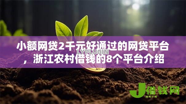 小额网贷2千元好通过的网贷平台,浙江农村借钱的8个平台介绍 小额网贷2千元好通过的网贷平台,浙江农村借钱的8个平台介绍