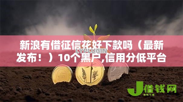 新浪有借征信花好下款吗（最新发布！）10个黑户,信用分低平台可以借钱