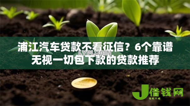 浦江汽车贷款不看征信?6个靠谱无视一切包下款的贷款推荐 浦江汽车贷款不看征信?6个靠谱无视一切包下款的贷款推荐